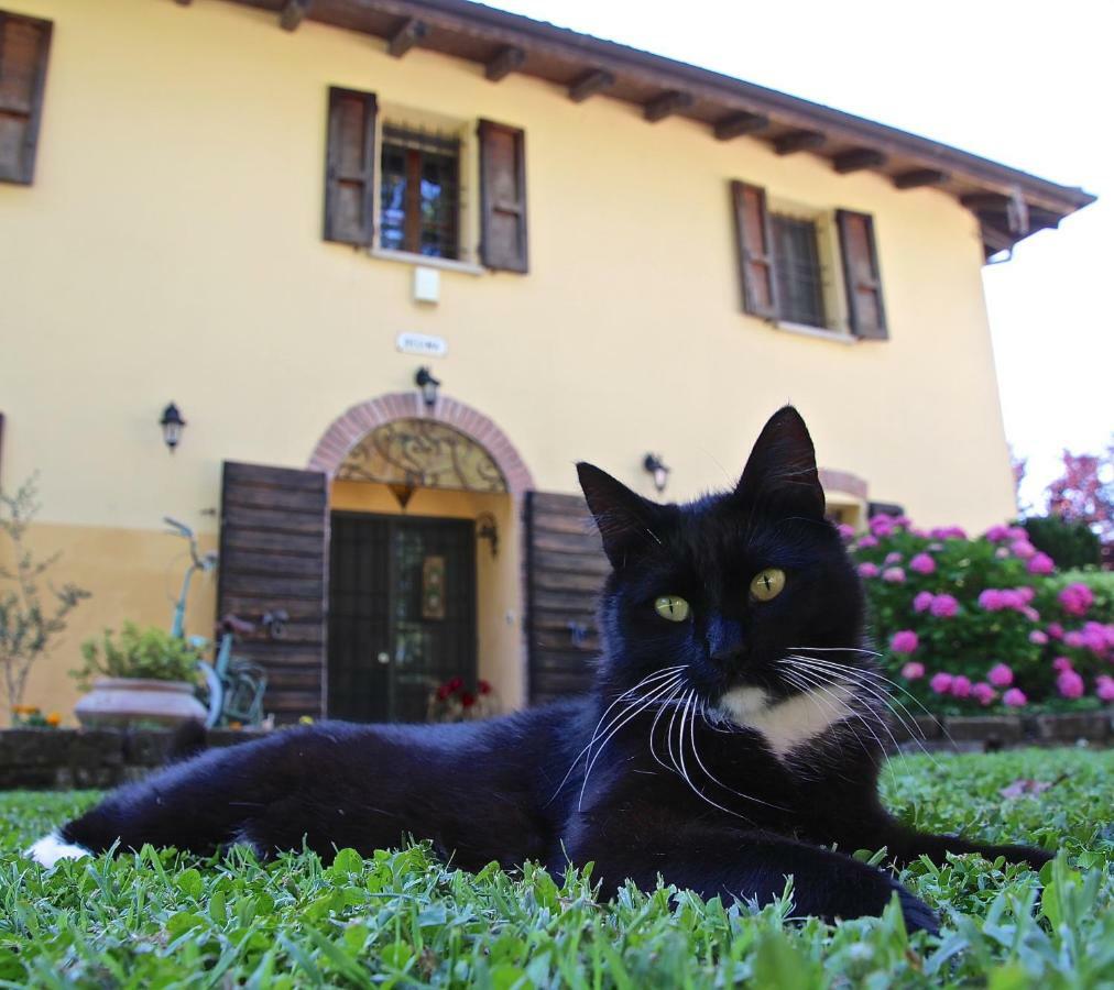 Bed and Breakfast Casale La Decima Budrio  Exteriér fotografie